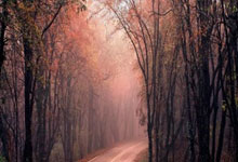 德国羽毛球公开赛 骆建佑杨佳敏双双杀入决赛.